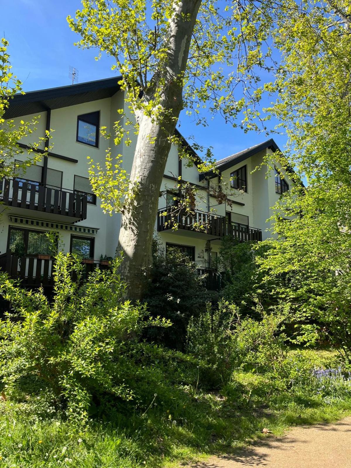 Zentrale Ferienwohnung Am Buhlschen Park In Deidesheim Luaran gambar