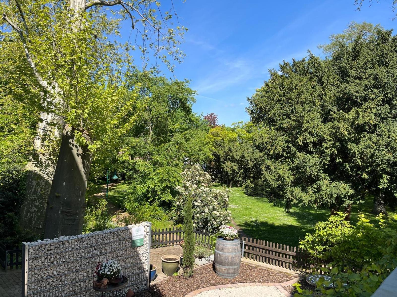 Zentrale Ferienwohnung Am Buhlschen Park In Deidesheim Luaran gambar